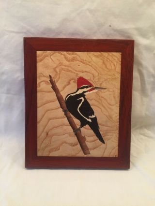 Pileated Woodpecker Placque