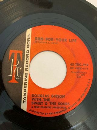 Northern Soul 45/ Douglas Gibson & Sweet & Sours " Run For Your Life " Hear