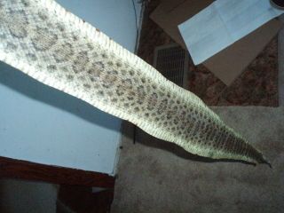 Rattlesnake Skin Prairie Rattler Hide Soft Tanned Bow Wrap Blanks Art 50 Inch Y8