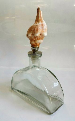 Seashell Decanter Liquor Bottle Clear Glass Whiskey Mini Conch Beach Jar Decor