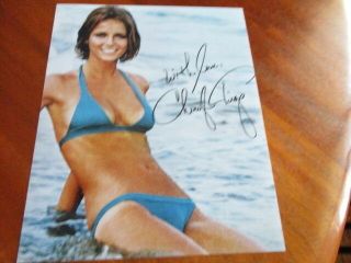 Cheryl Tiegs Autograph/signature Color 8x10 Model Sexy Bikini Picture
