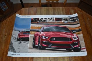 2019 Ford Mustang Shelby Gt 350 Poster - -