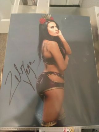 Wwe Autographs,  Dvd,  Figure,  And Pins From The Wrestling Club