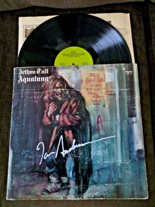 Ian Anderson Autographed Signed Aqualung Jetro Tull Cover W Lp Framed