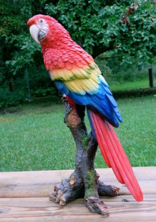 Macaw Parrot Tropical Pet Bird Figurine Decoration Ornament Mexico 15 In.