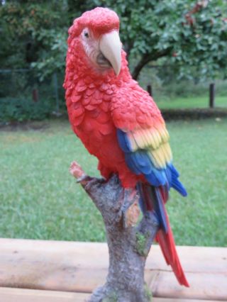 Macaw Parrot Tropical Pet Bird Figurine Decoration Ornament Mexico 15 in. 3
