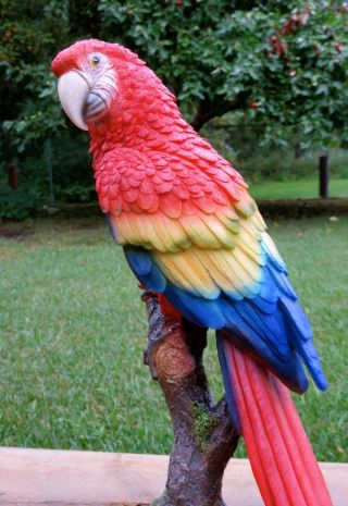 Macaw Parrot Tropical Pet Bird Figurine Decoration Ornament Mexico 15 in. 4