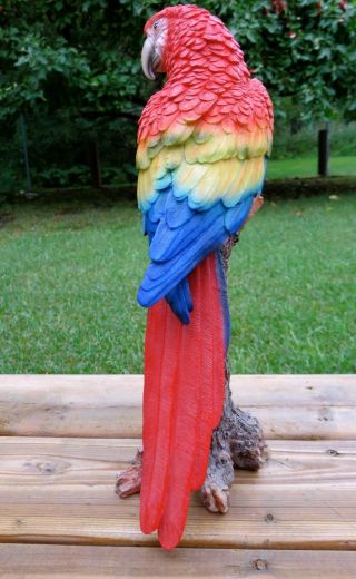 Macaw Parrot Tropical Pet Bird Figurine Decoration Ornament Mexico 15 in. 5