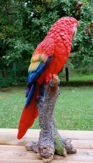 Macaw Parrot Tropical Pet Bird Figurine Decoration Ornament Mexico 15 in. 6