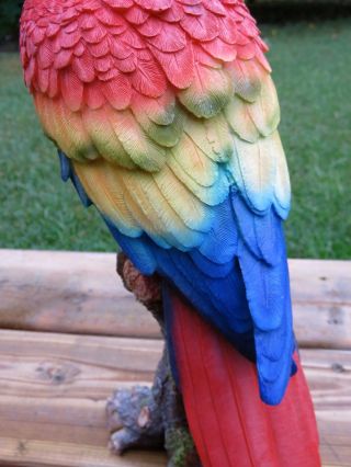 Macaw Parrot Tropical Pet Bird Figurine Decoration Ornament Mexico 15 in. 8