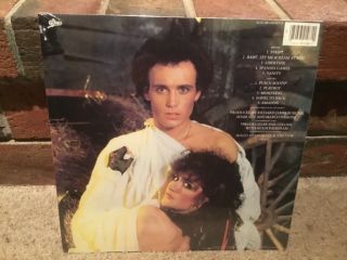 Adam Ant LP 1983 Strip - Record Epic FE 39108 With Hype Sticker 2