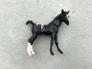 Rare Breyer Horse 410154 Black Tie Affair Appaloosa Amber Foal Sr Jcpenney Jcp