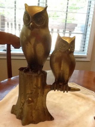 Vintage Large 17 " Brass / Bronze Owls On Log Tree / Home Decor