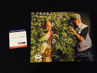 Tommy Chong Signed Autograph 8x10 Photo Psa Dna - Up In Smoke Cheech