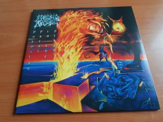 Morbid Angel ‎– Formulas Fatal To The Flesh - 2 X Lp - Clear Vinyl - Death Metal