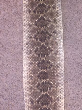 Rattlesnake Skin Craft Taxidermy 59 Incher