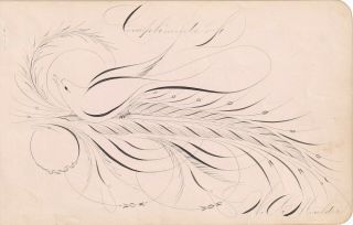 1800s Antique Pennsylvania Folk Art Calligraphy Bird On Album Page W.  A.  Moulder