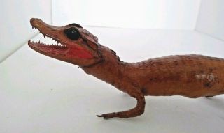 Vintage Taxidermy Souvenir Real Baby Alligator Caiman 15 Inches