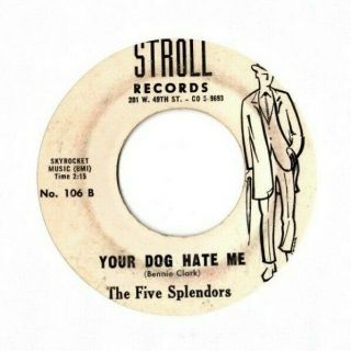 Hear - Rare R&b / Soul 45 - The Five Splendors - Your Dog Hate Me - Stroll 106