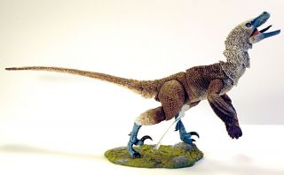 4091: Beasts Of The Mesozoic - Articulated Dinosaur Acheroraptor Temertyorum