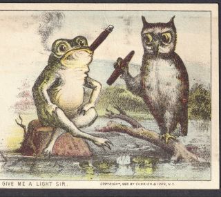 Frog Owl Old 1880 Authentic Currier & Ives 19th Century Tobacco Cigar Card Comic