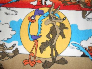 1995 Warner Bros.  Road Runner & Wile E.  Coyote Area Rug Looney Tunes 39 