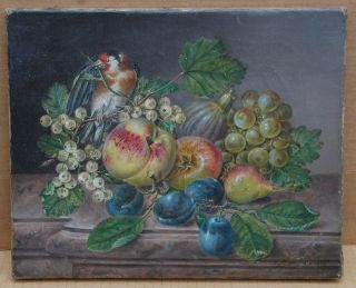 Anton Fidler Oil Painting Still Life Signed & Dated 1850 Oil On Canvas