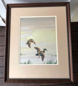 Benson B Moore Framed,  Signed Sporting Art Ducks In Flight Watercolor