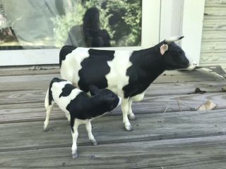 Breyer Holstein Cow And Calf Model Horse Model Cattle