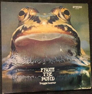 Froggie Beaver From The Pond Dsi 7301 Rare 1973 Prog Psych Private Press Omaha