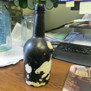 Black Glass Ale Bottle Bimal 8 " Tall West Indies Shipwreck Find - Barnacle Coral