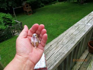 Tiny Miniature Hand Sculpted Artist English Bulldog Puppy One of a Kind 2