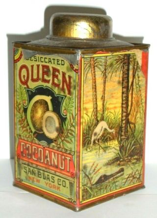 Rare Antique 1880`s Advertising Tin Queen Coconut W Paper Label Litho San Blas