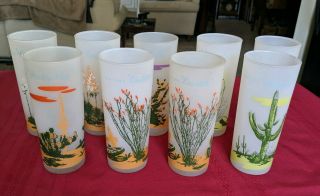 Nine 1950s Blakely Oil Company Arizona Cactus Frosted Glasses.  8 Different.