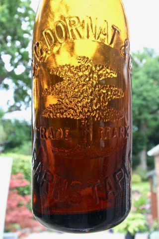 Vintage C C Dornat & Co Barnstaple Devon Tree Pictorial Pint Amber Beer Bottle