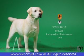 1/6 Mr.  Z Action Figure Accessory - No.  25 Labrador Retriever Dog 001 White Ver.