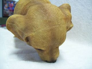 Large Beagle Puppy Risin Lifelike Figurine Plant Pot / Fence Climber / Hanger 7