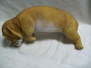 Large Beagle Puppy Risin Lifelike Figurine Plant Pot / Fence Climber / Hanger 8