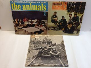 The Animals,  8 Issue Vinyl Albums From The 1960s