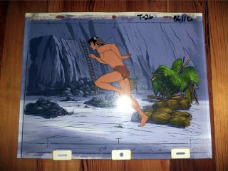 Animation Cel Setup Of Tarzan And 1976 Series,  “tarzan Lord Of The Jungle”