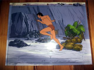 Animation Cel Setup of Tarzan and 1976 series,  “Tarzan Lord of the Jungle” 3