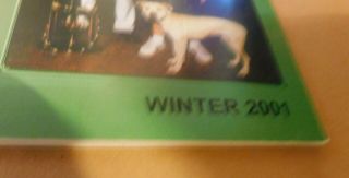 American Pit Bull Terrier Gazette Whole Year 4 Issues 2001 4