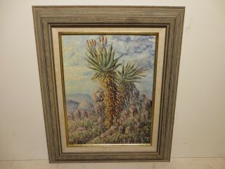 12x9 Oil Painting On Board By Helan Sebidi Of " The Aloes Cactus " Africa