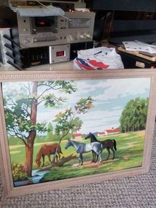 Paint By Numbers Horses Frame Vintage 50s/60s Exc Modern