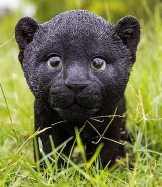 Black Panther Cub Stunning Realistic Life Like Figurine Statue Home / Garden