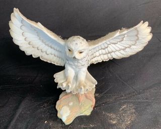Maruri Snowy Owl " Eyes Of The Night " In The Box With Certificate