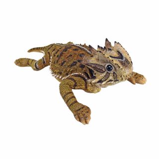 Texas Exotic Horned Lizard Garden Sculpture Horny Toad Statue
