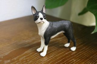 Resin Mini Boston Terrier Dog Hand Painted Simulation Model Figurine Statue