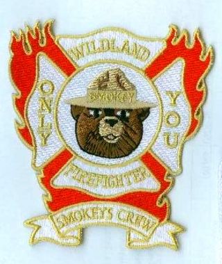 Smokey Fire Fighter Forest Service Wildland Firefighter Smokey 