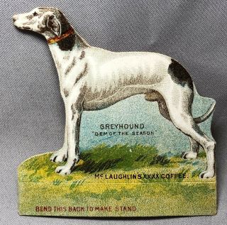 1890 Greyhound Dog Champion Mclaughlin Coffee Victorian Advertising Trade Card